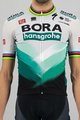 SPORTFUL джерсі з коротким рукавом - BORA HANSGROHE 2021 - šedá/zelená