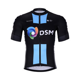 DSM 2021 DSM 2021